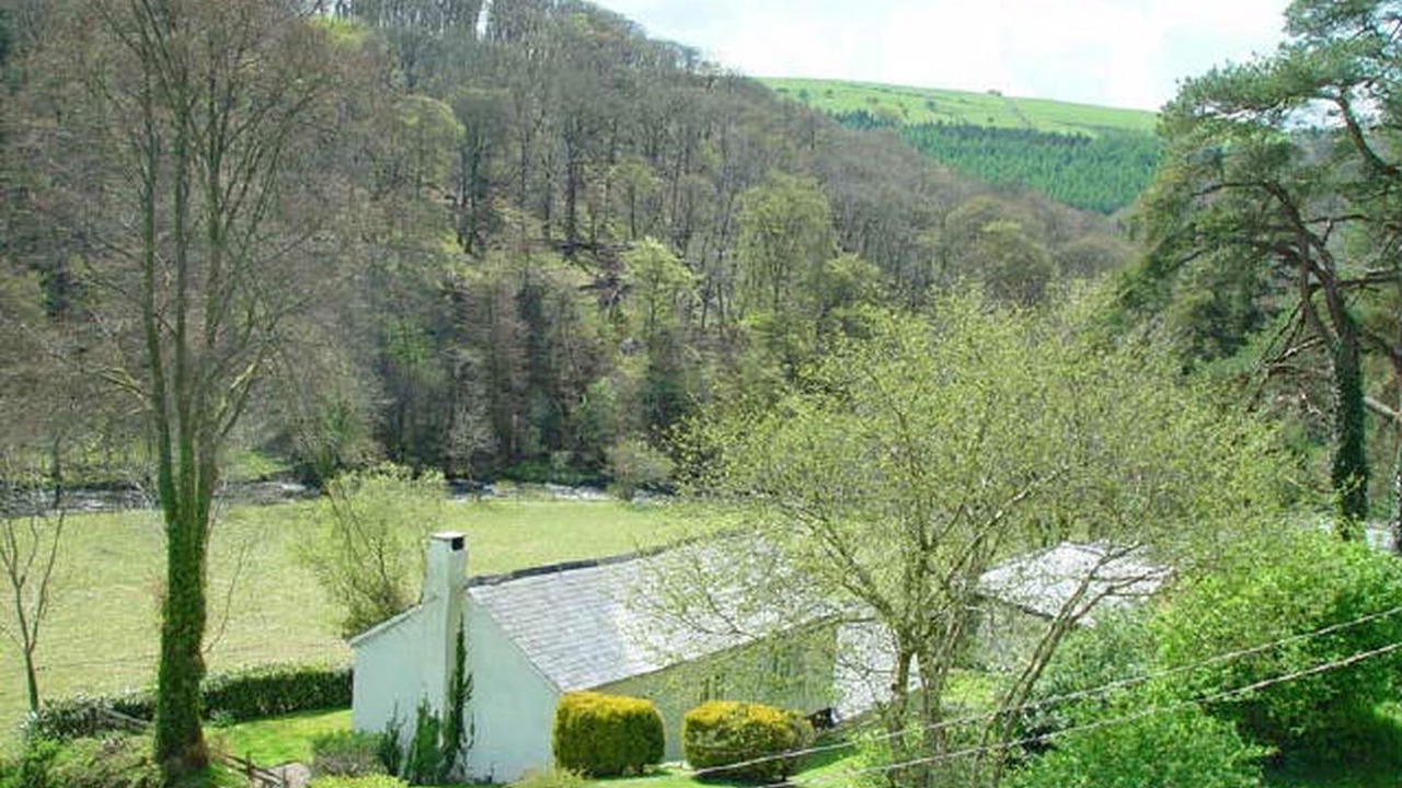 Photo of Others in Tarr Steps