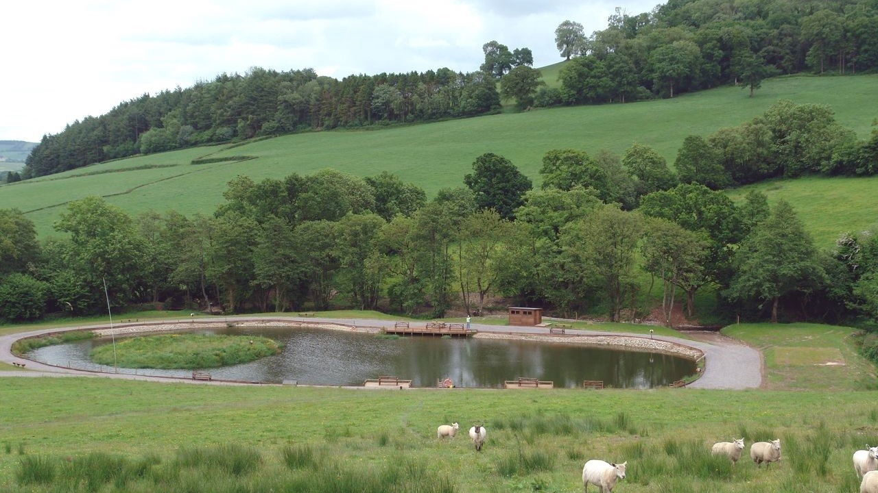 Photo of Others in Colyton