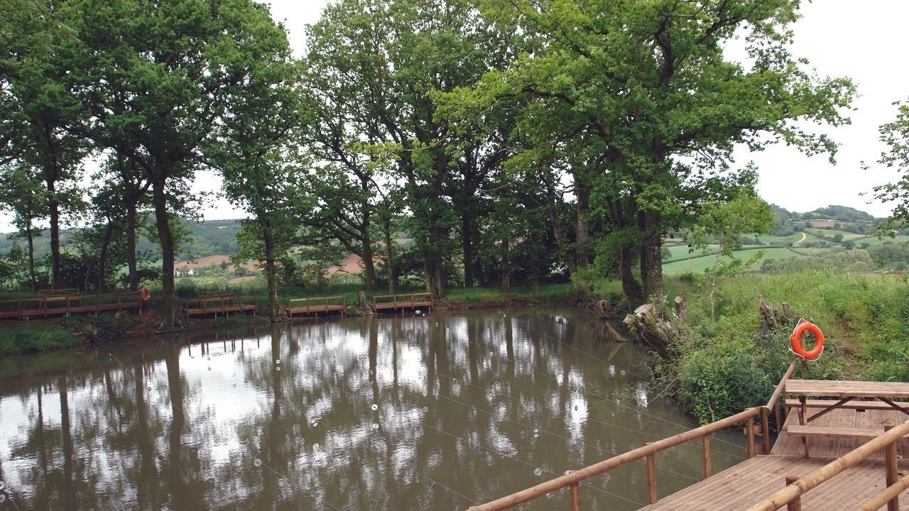 Photo of Others in Colyton