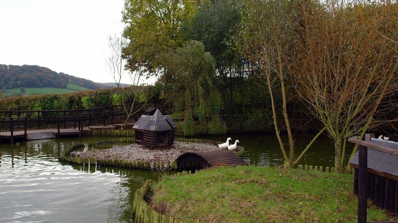 Photo of Others in Colyton