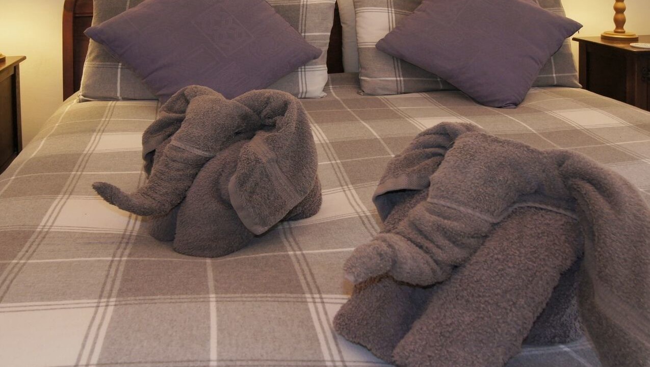 Photo of Others in Minehead