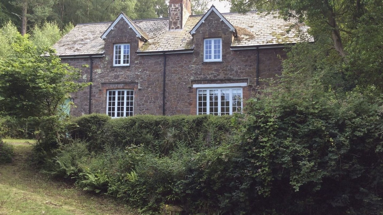 Photo of Others in Minehead