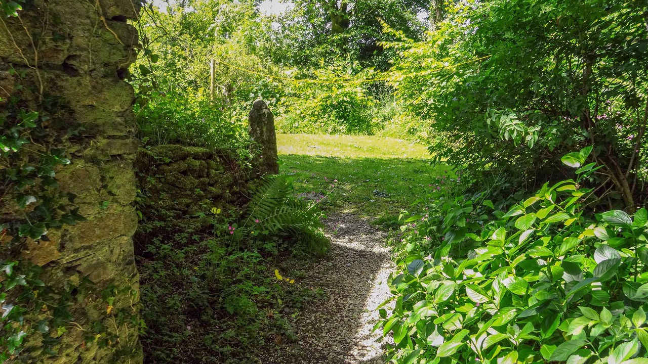 Photo of Others in Lydford