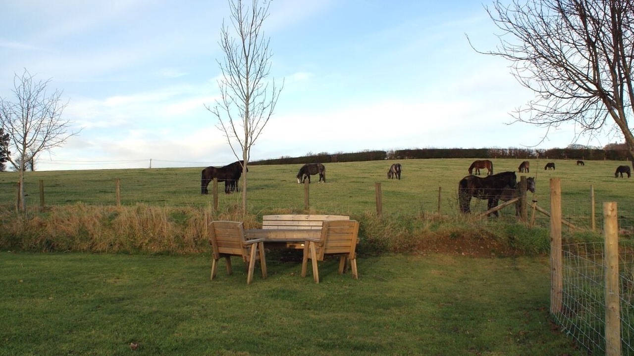 Photo of Outdoor in Michelcombe