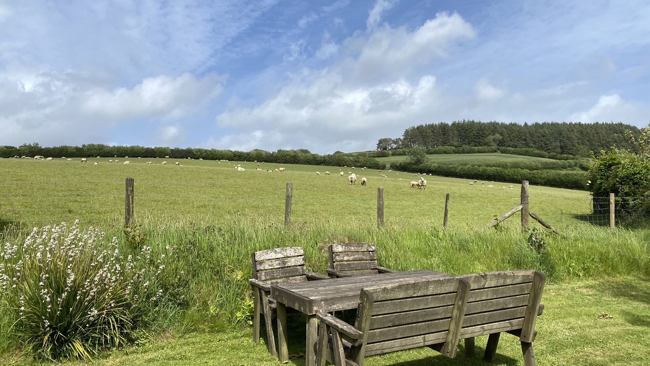 Photo of Others in Michelcombe