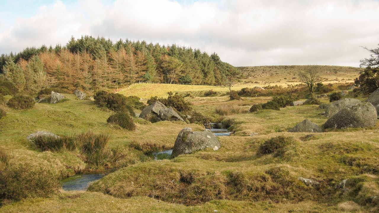 Photo of Others in Ivybridge