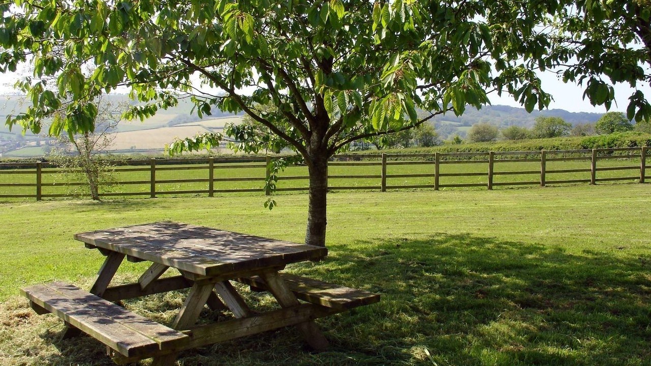 Photo of Others in Colyton