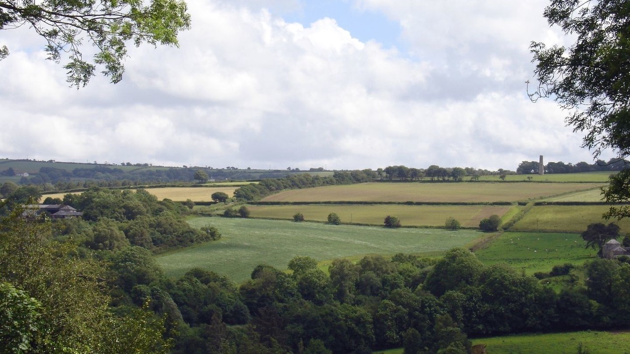 Photo of Others in Luckett