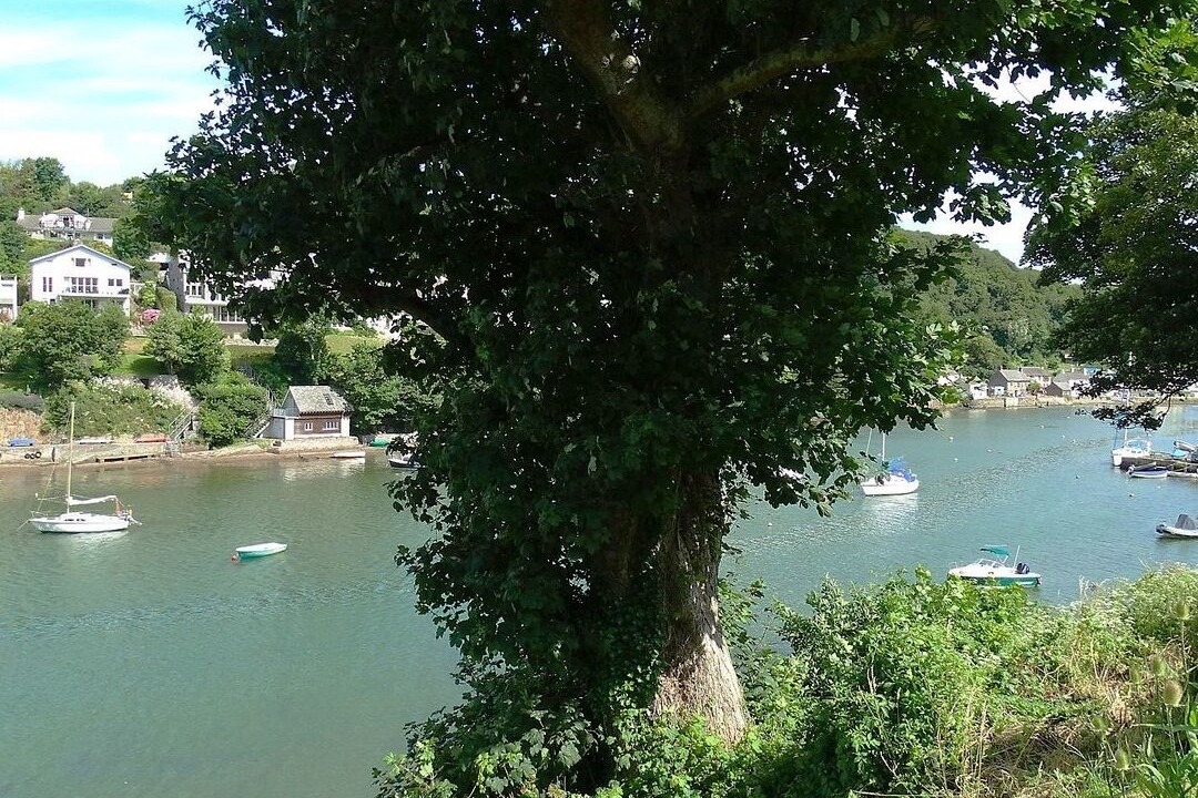 Photo of Others in Newton Ferrers