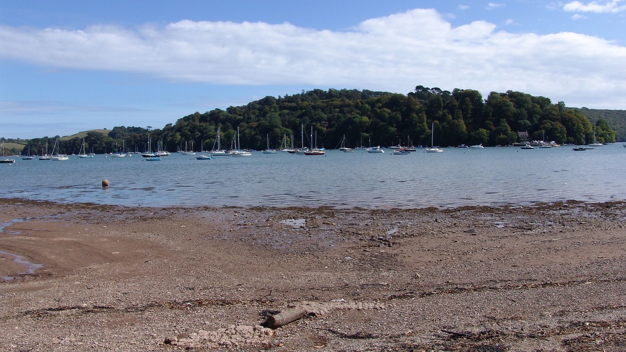 Photo of Others in Dittisham