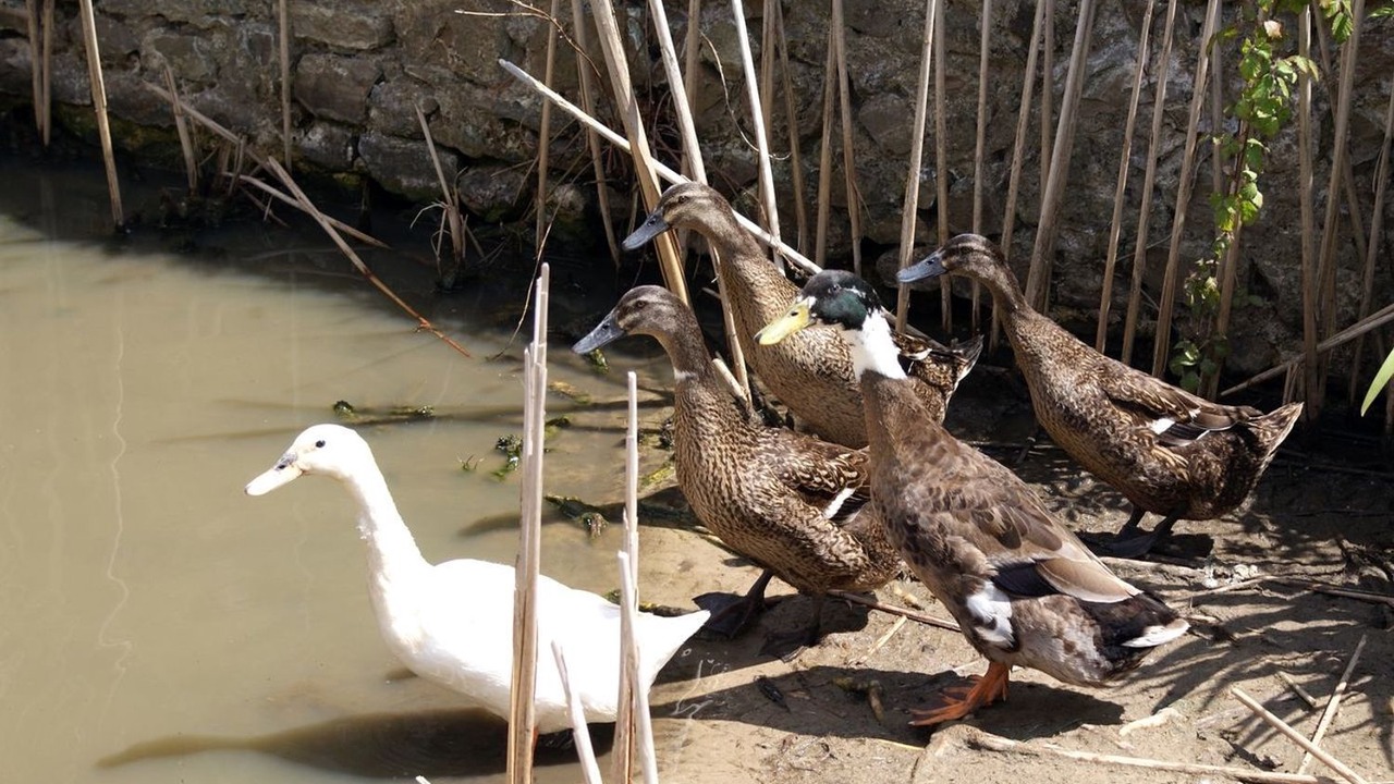 Photo of Others in Northleigh