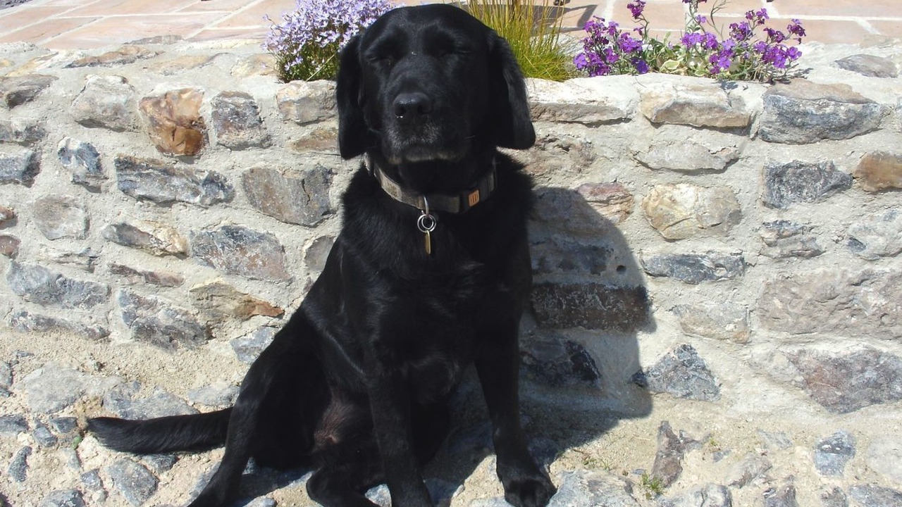 Photo of Others in Northleigh