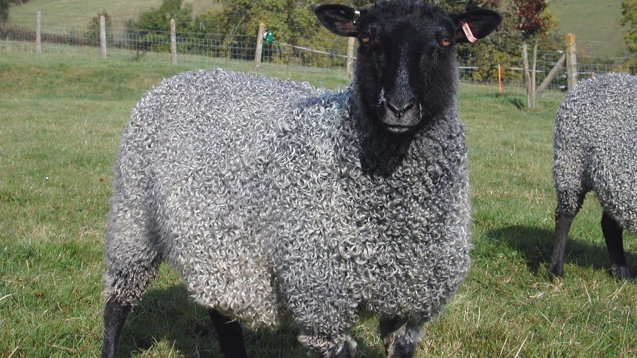 Photo of Others in Monkton