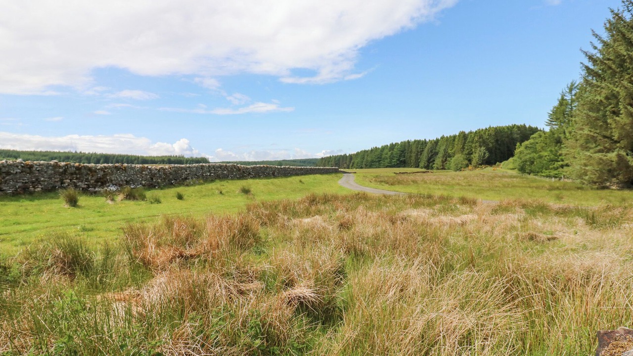 Photo of Others in Hexham