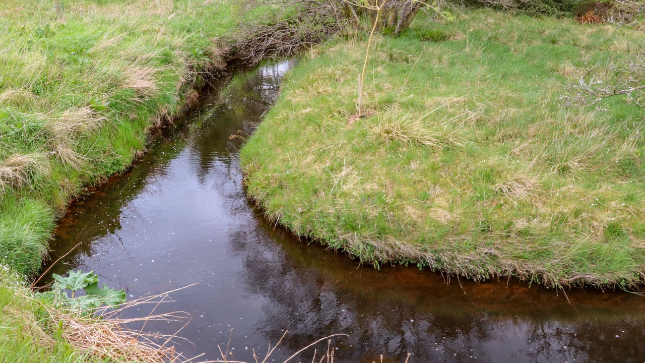 Photo of Others in Hexham