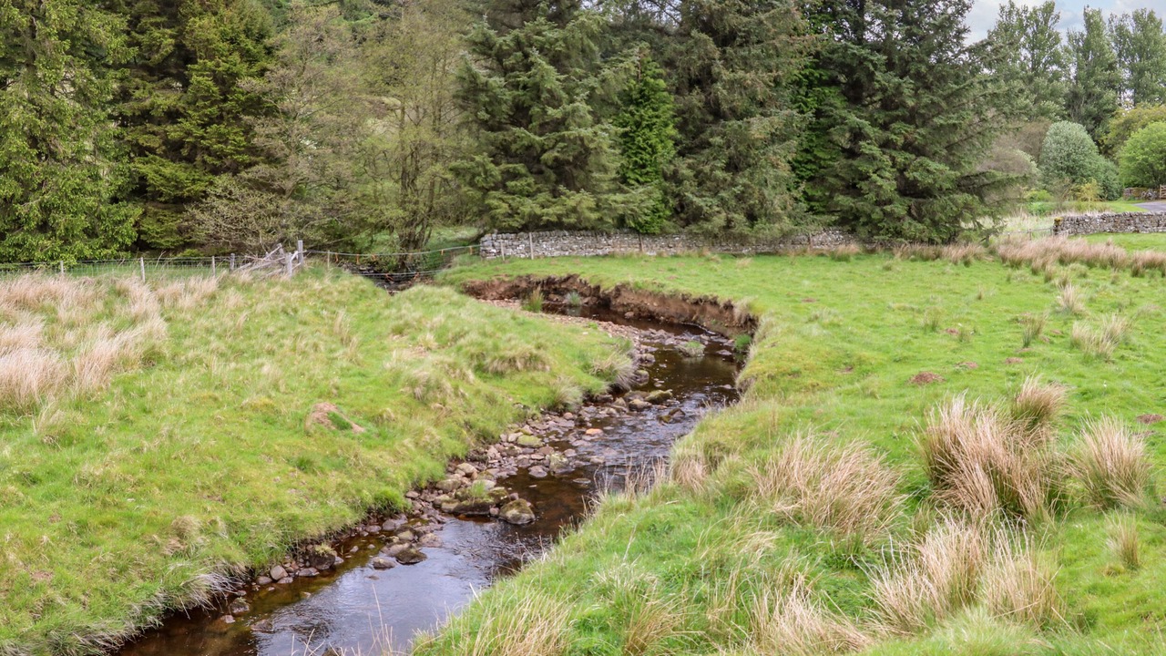 Photo of Others in Hexham