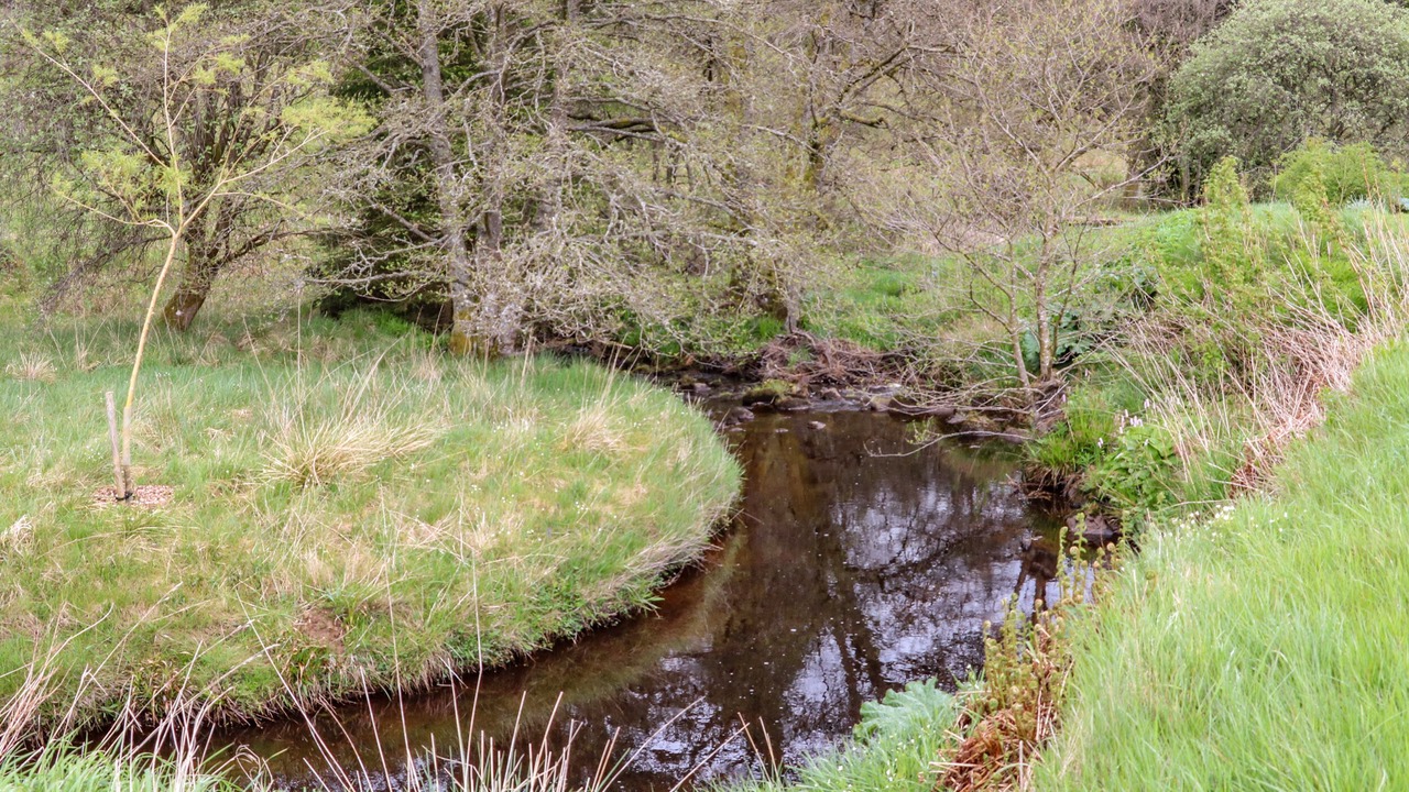 Photo of Others in Hexham