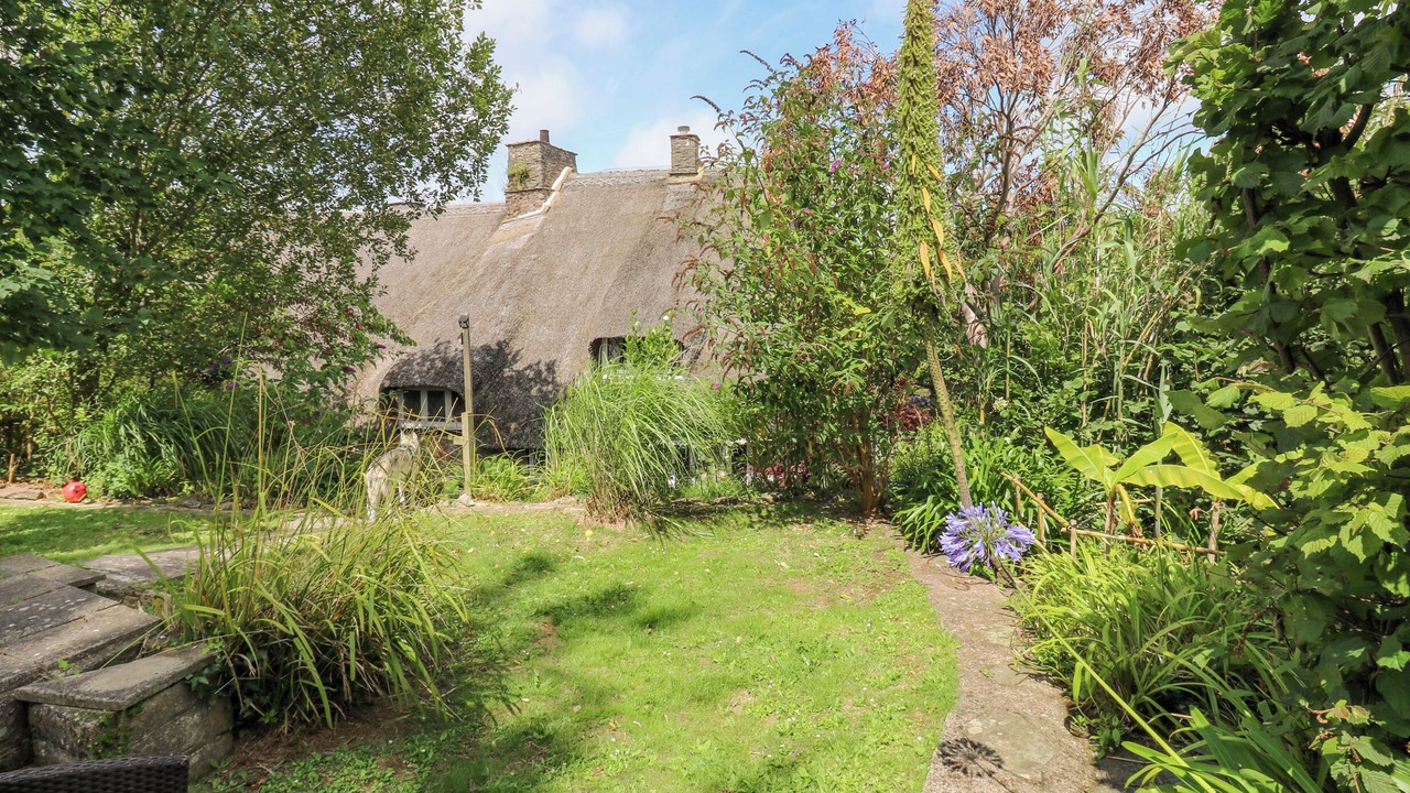 Photo of Others in Brixham