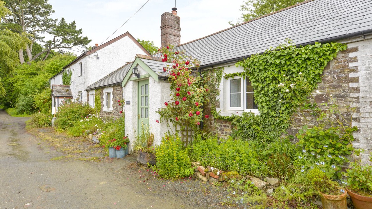 Photo of Outdoor in Black Torrington