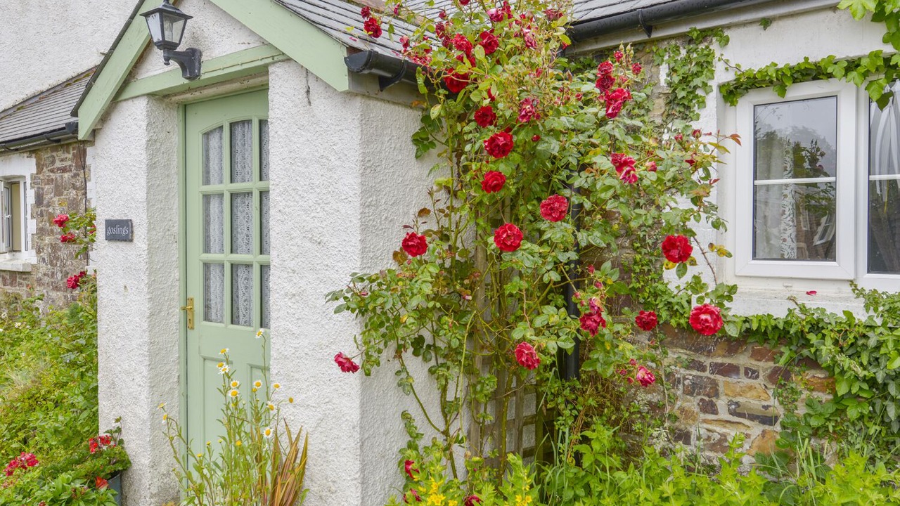 Photo of Others in Black Torrington