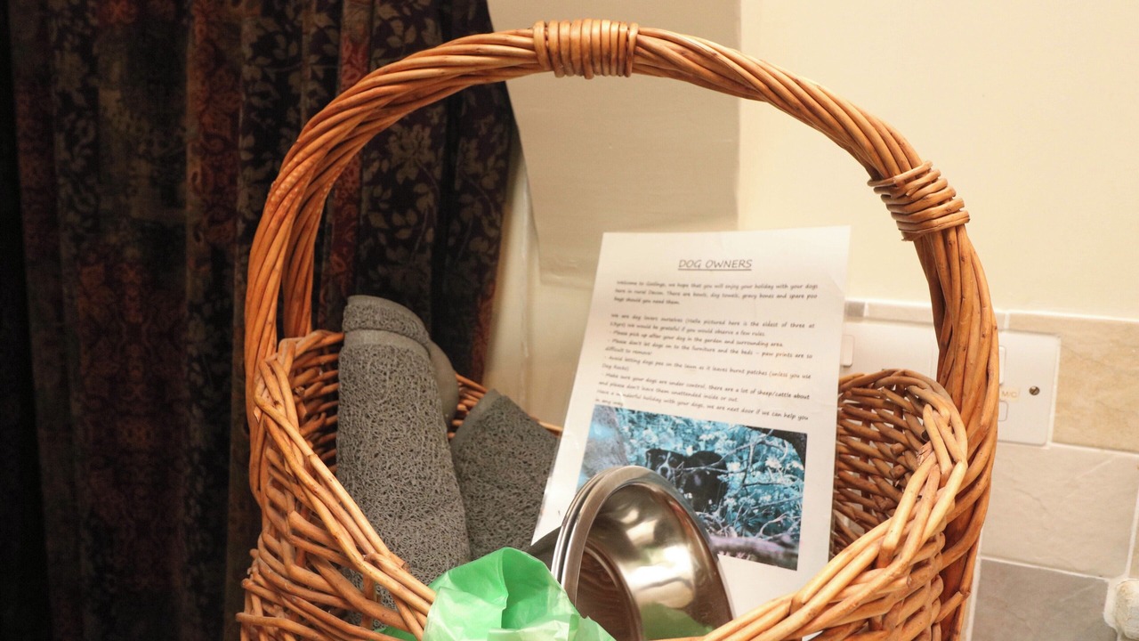 Photo of Others in Black Torrington