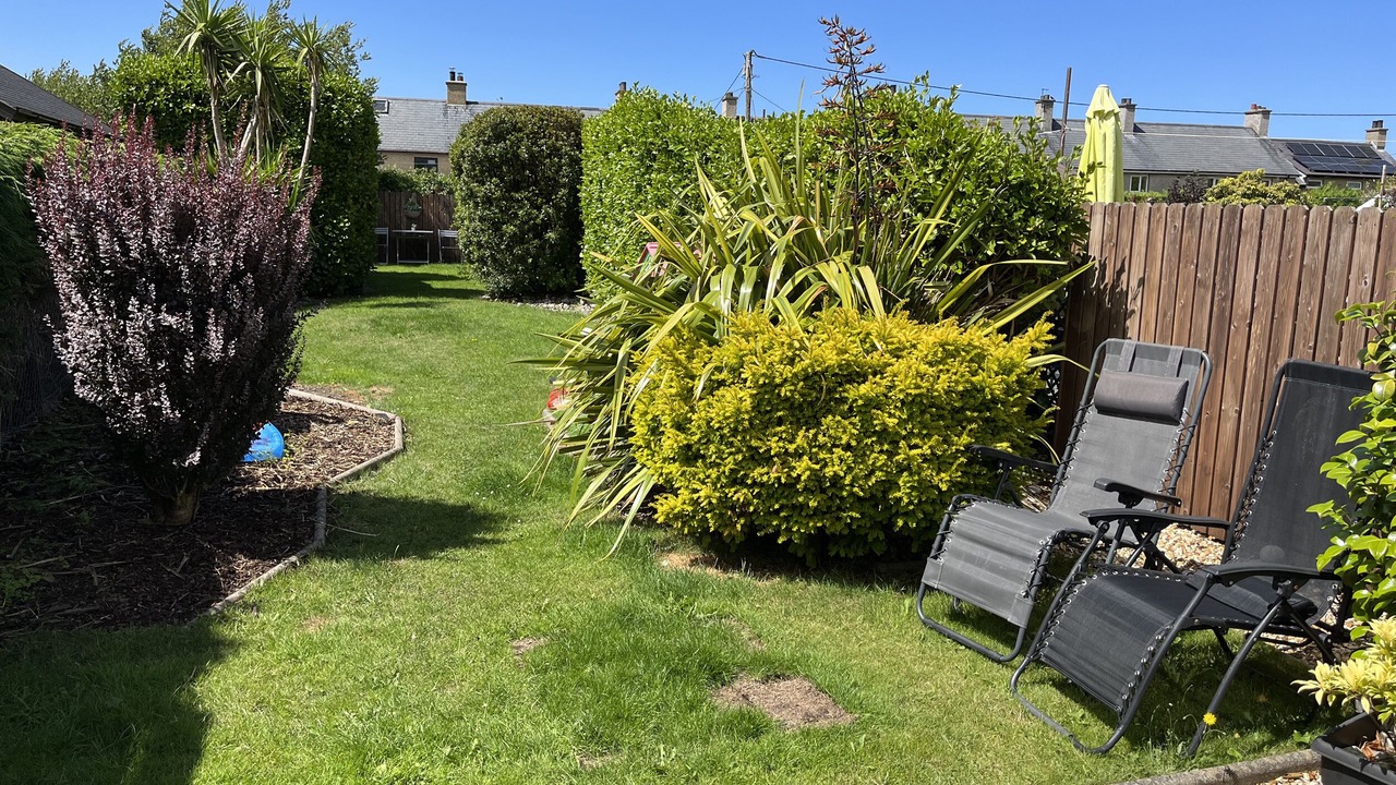 Photo of Others in Trefor