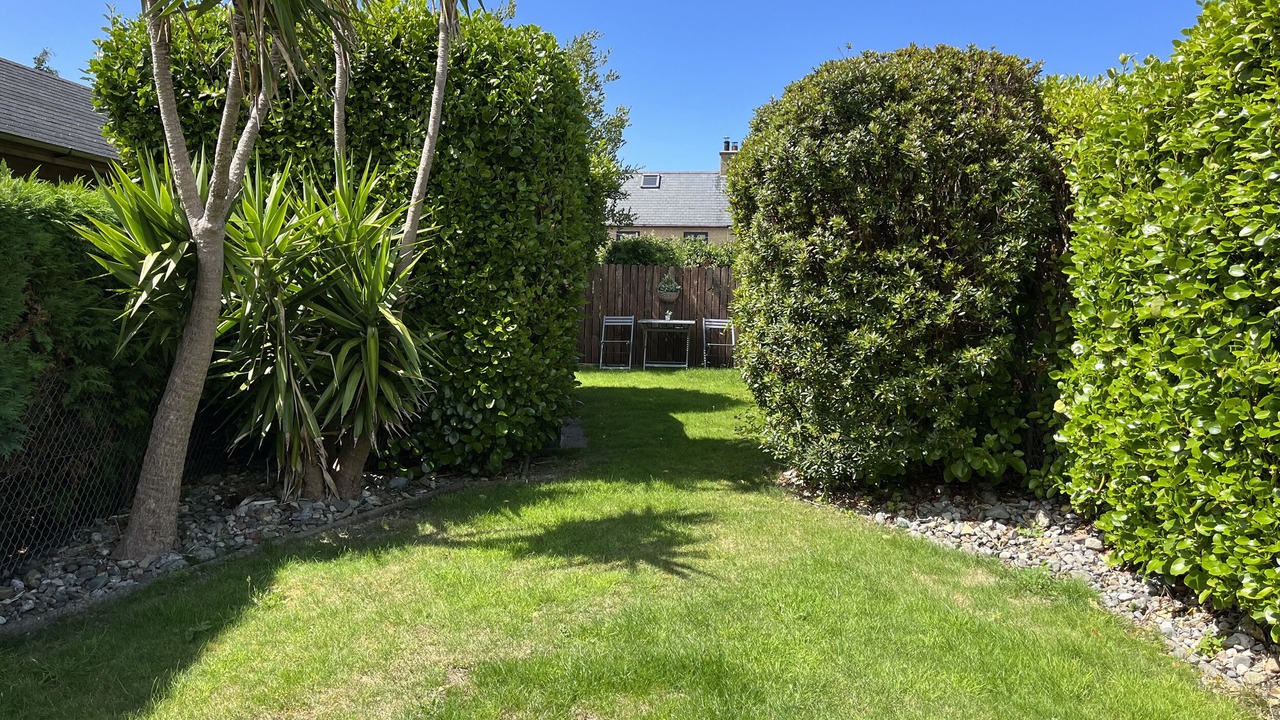 Photo of Others in Trefor