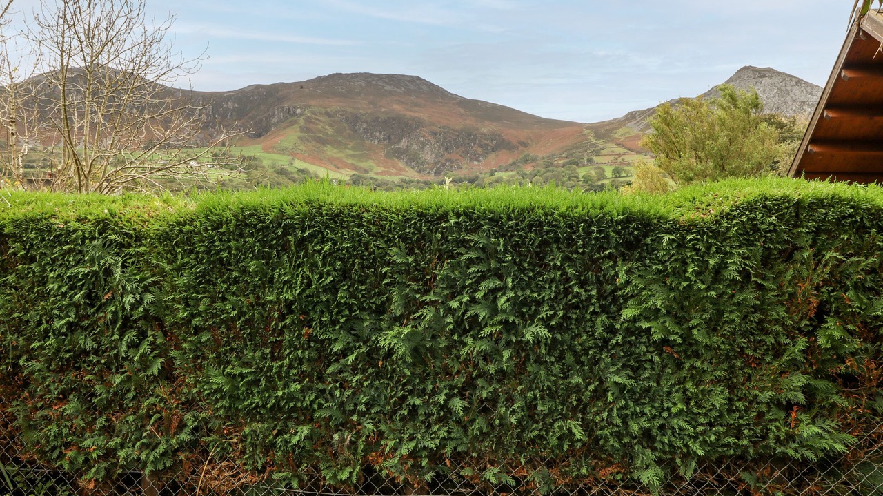 Photo of Others in Trefor