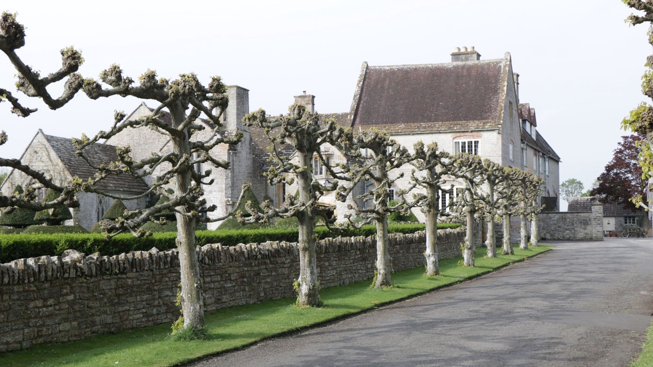 Photo of Others in Queen Camel