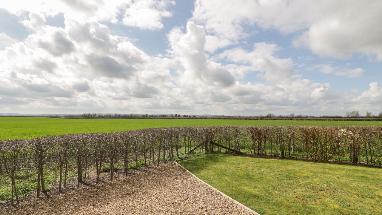 Photo of Others in Queen Camel