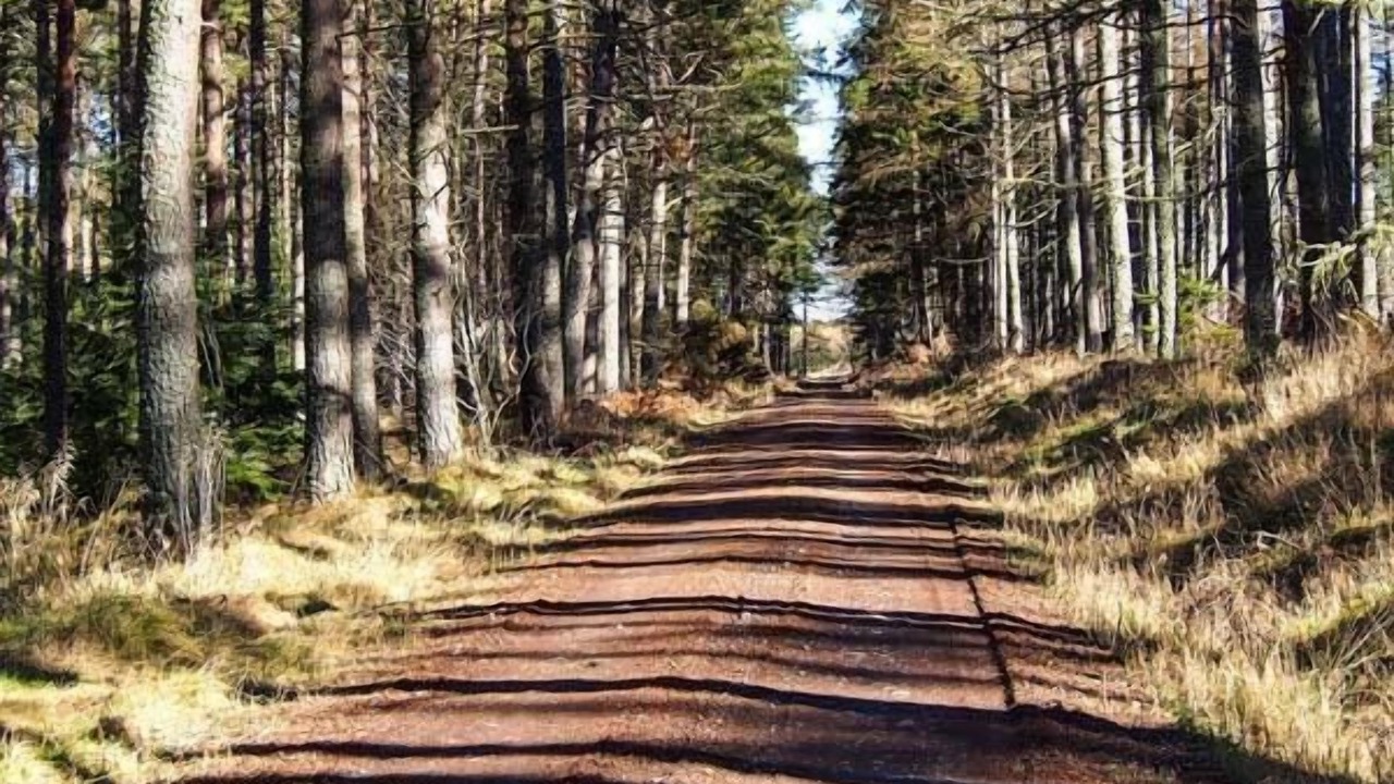 Photo of Others in Dingwall