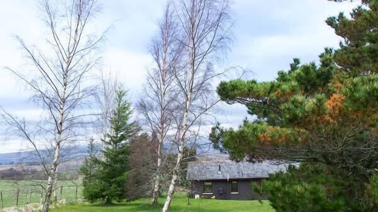 Photo of Others in Dingwall