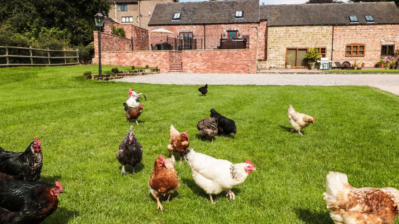 Photo of Others in Fulford