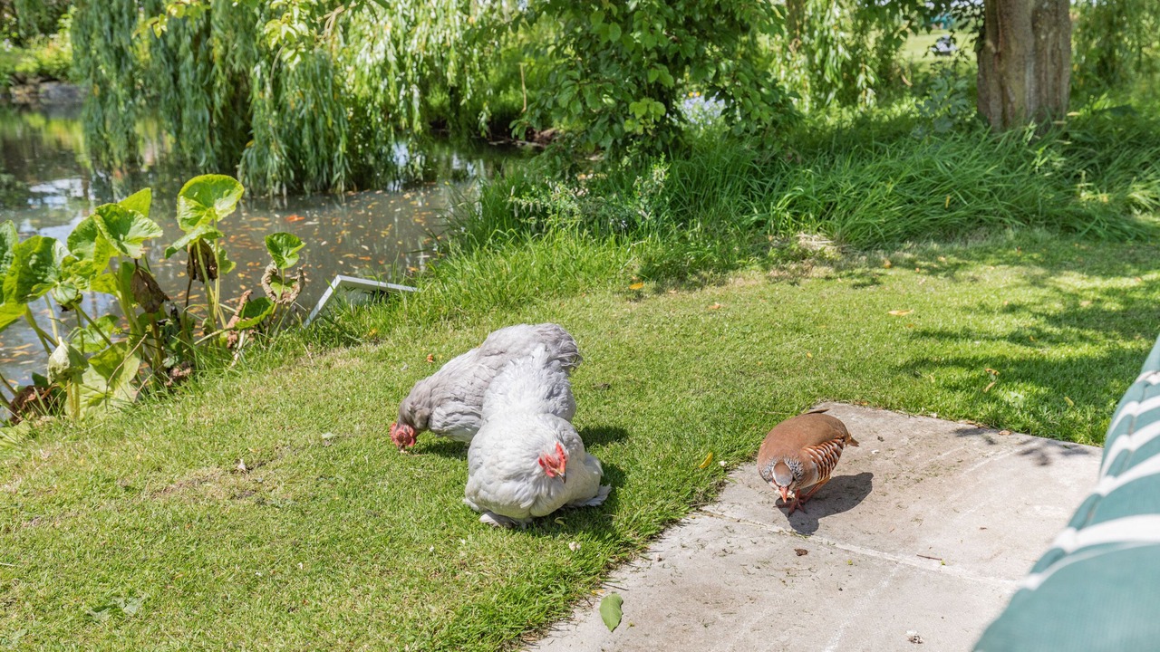 Photo of Others in Ulrome