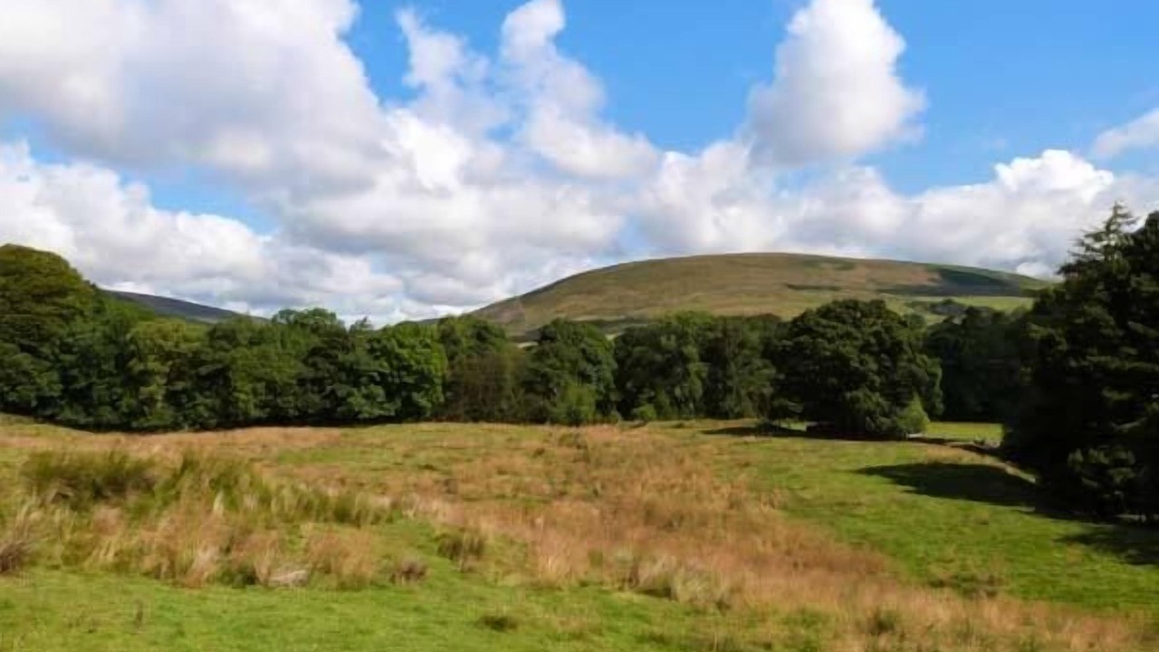 Photo of Others in Clitheroe