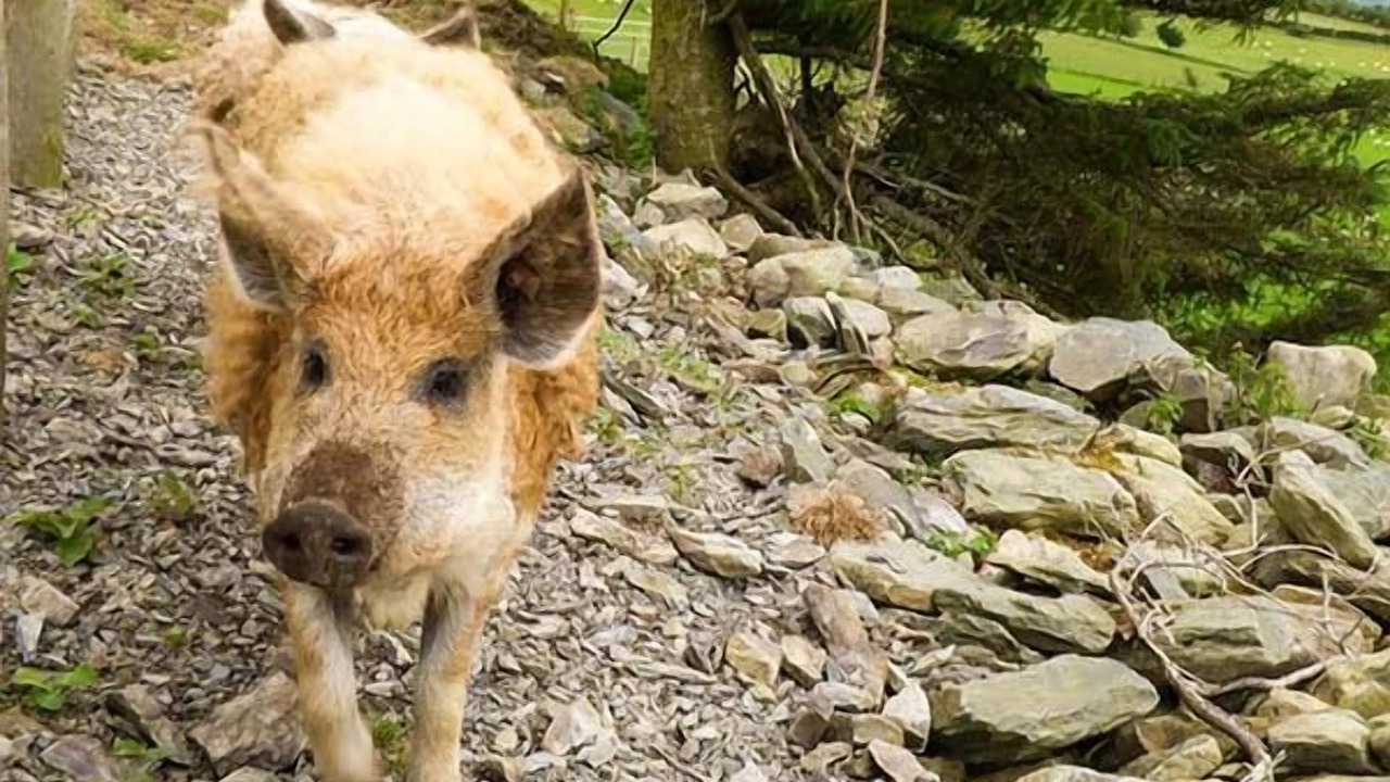 Photo of Others in Bontnewydd