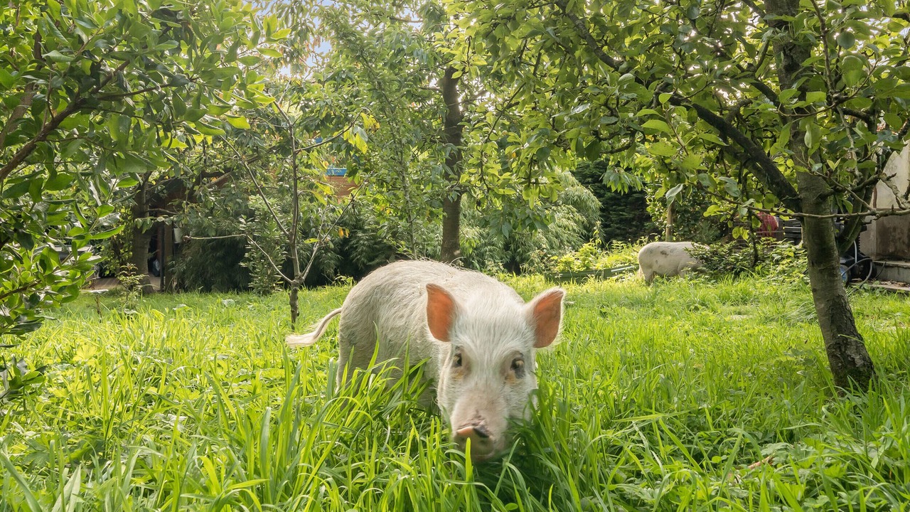 Photo of Others in Bardsea