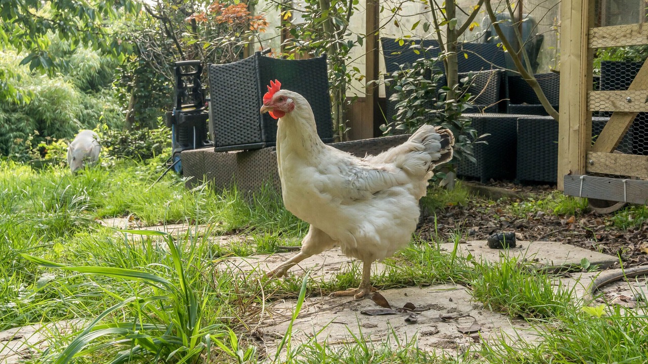 Photo of Others in Bardsea