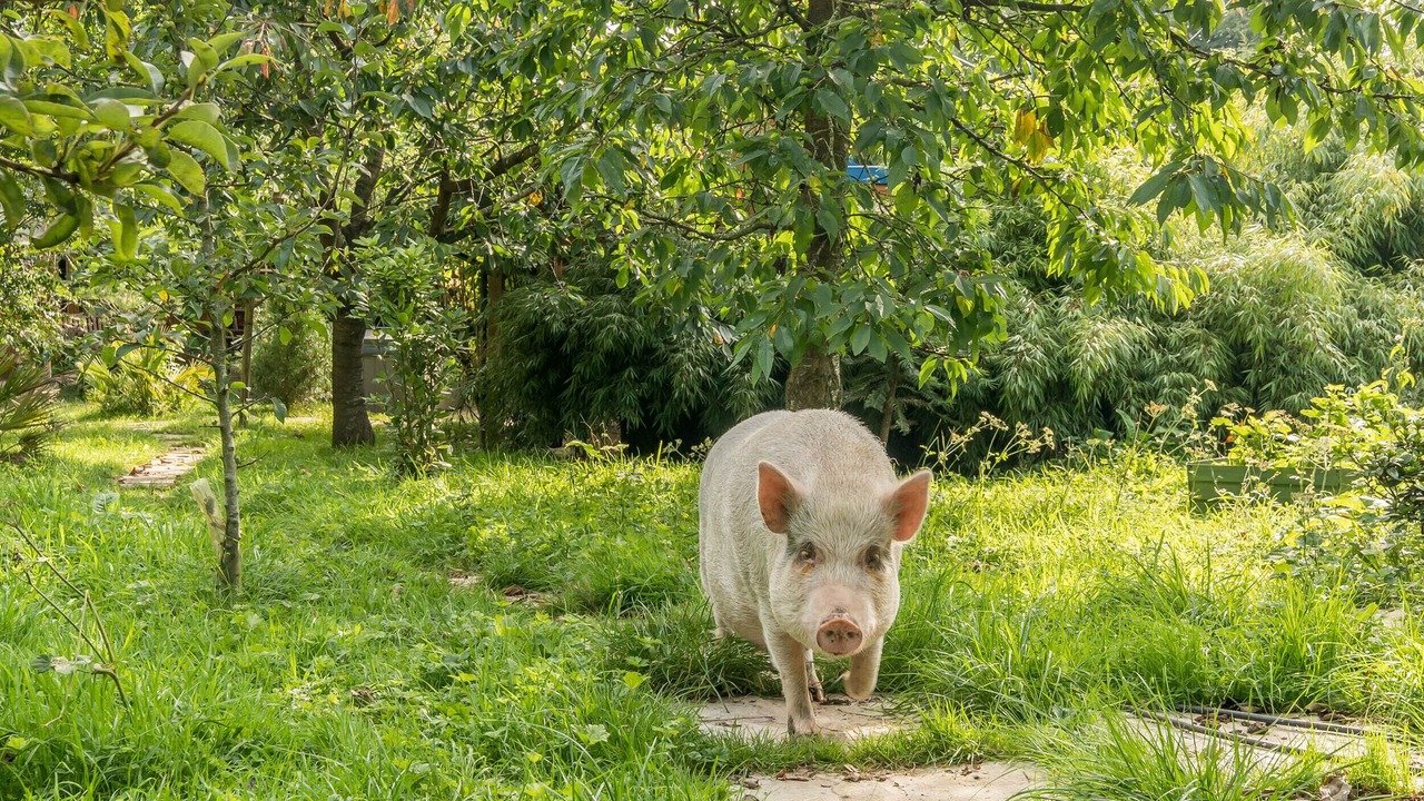 Photo of Others in Bardsea