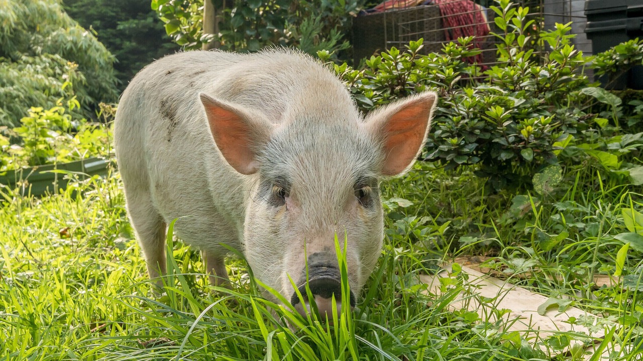 Photo of Others in Bardsea