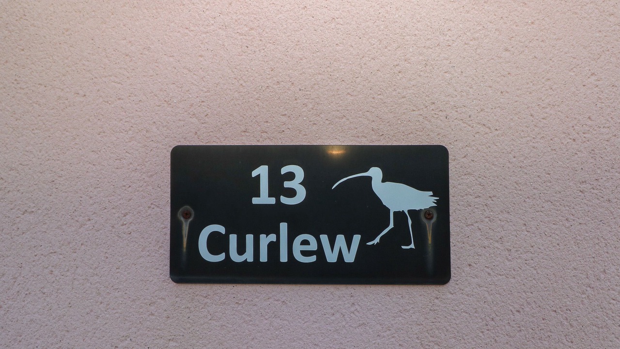 Photo of Others in Milford Haven