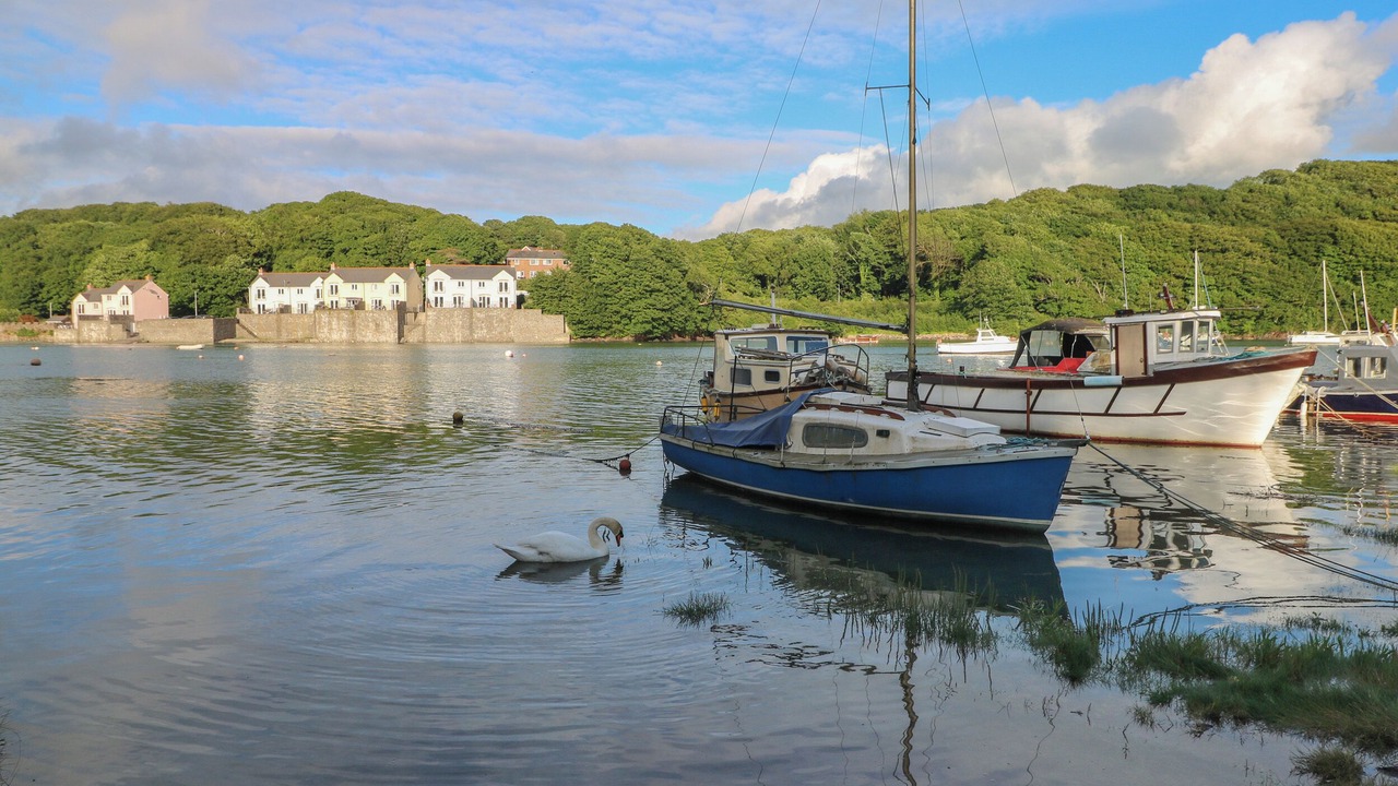 Photo of Others in Milford Haven