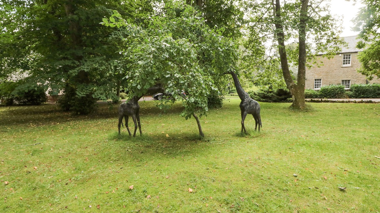 Photo of Others in Duns