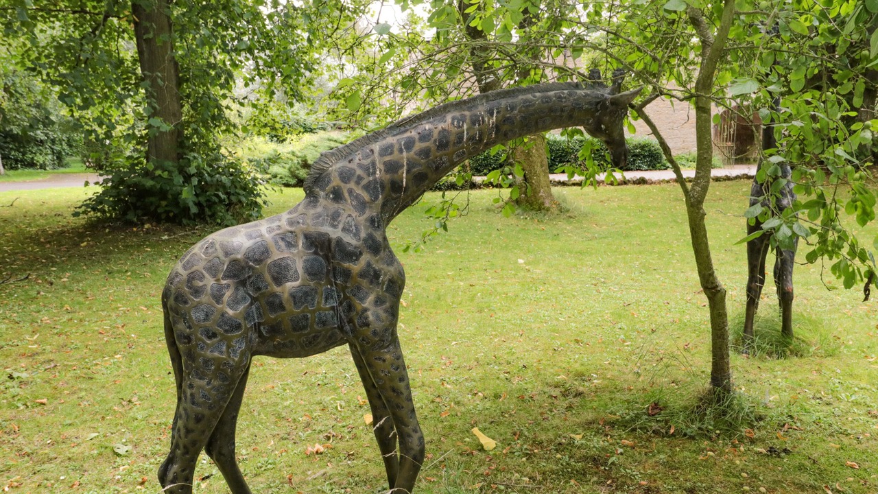 Photo of Others in Duns