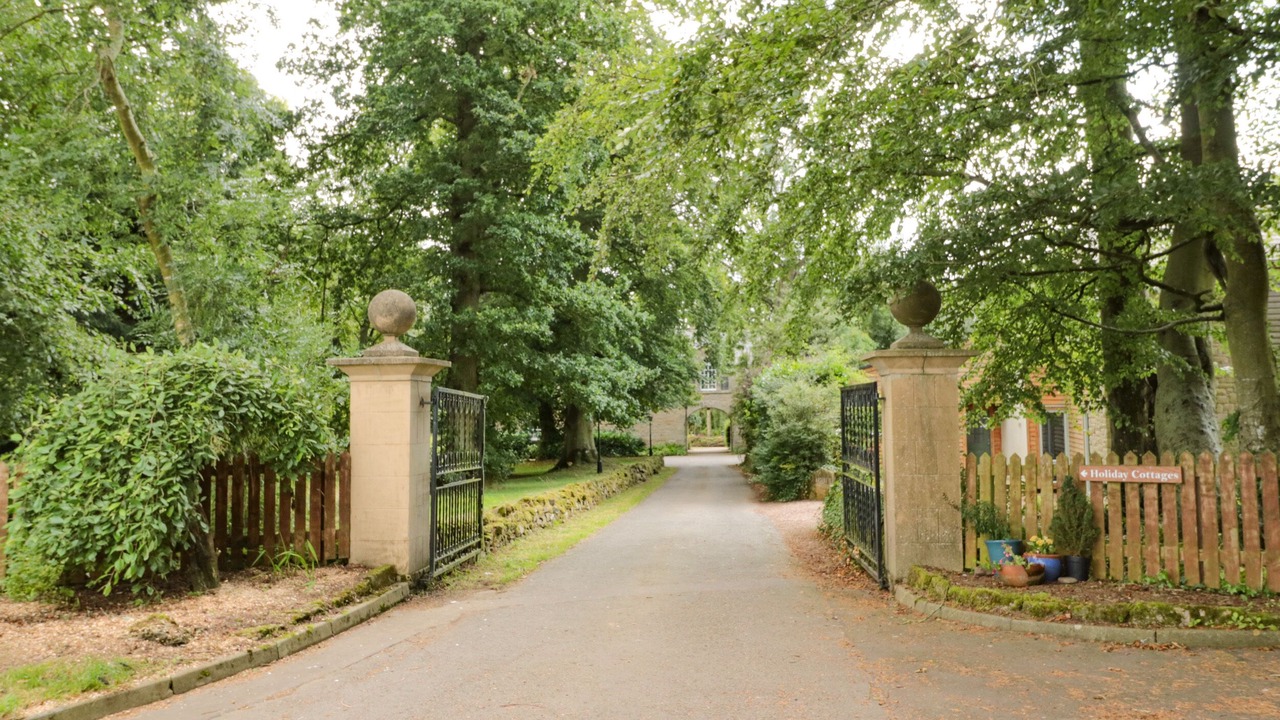 Photo of Others in Duns