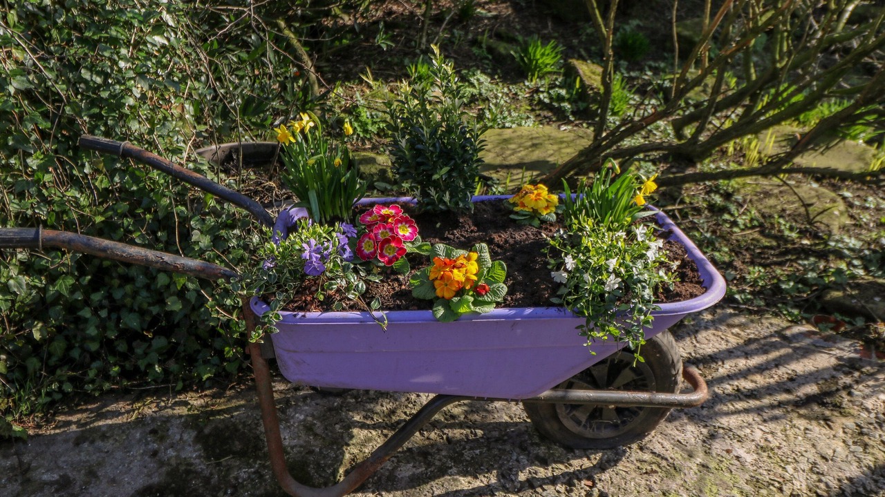 Photo of Others in Walsden