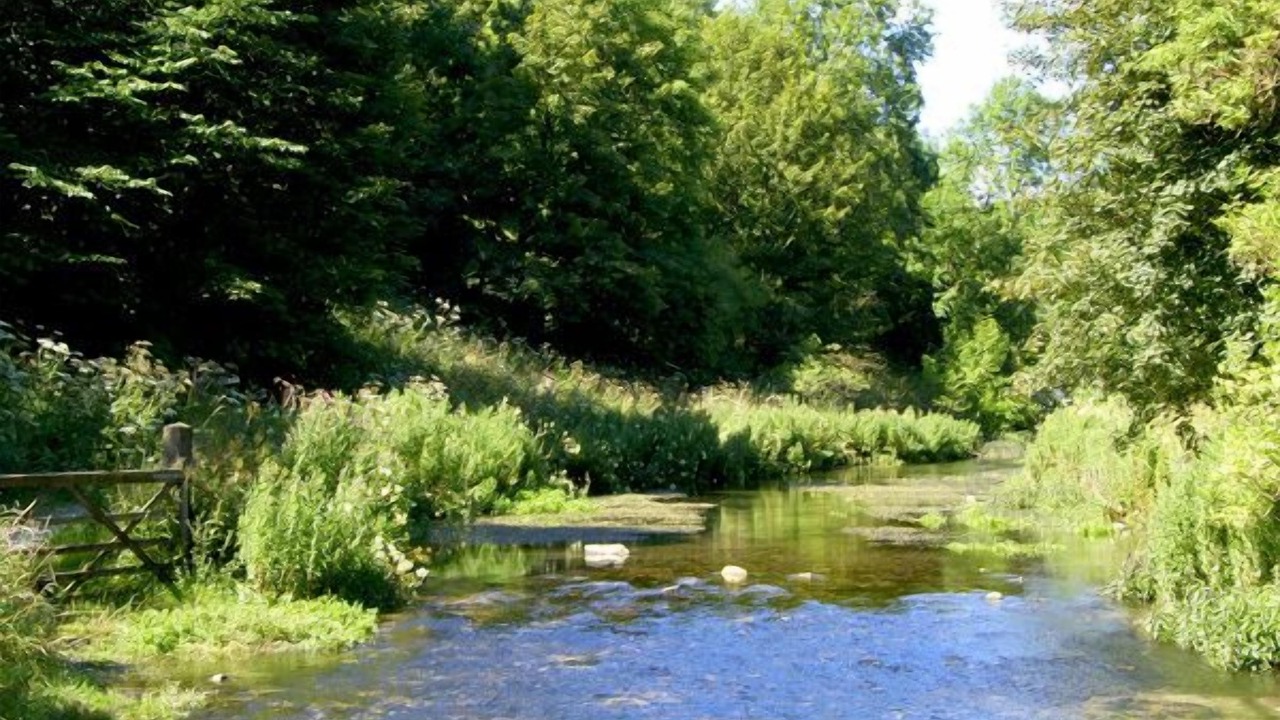 Photo of Others in Youlgreave