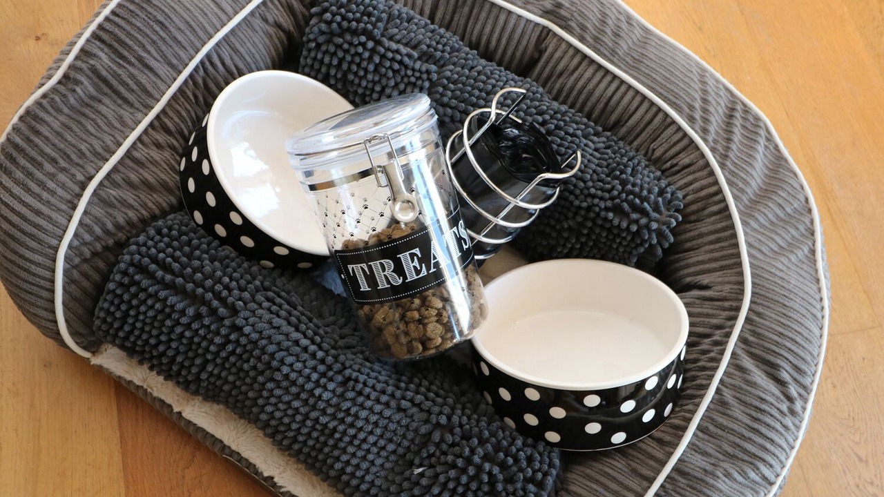 Photo of Others in Saltash