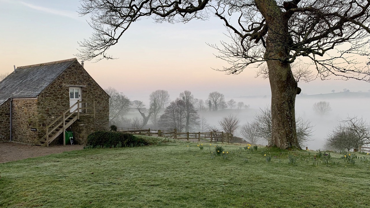 Photo of Others in Saltash