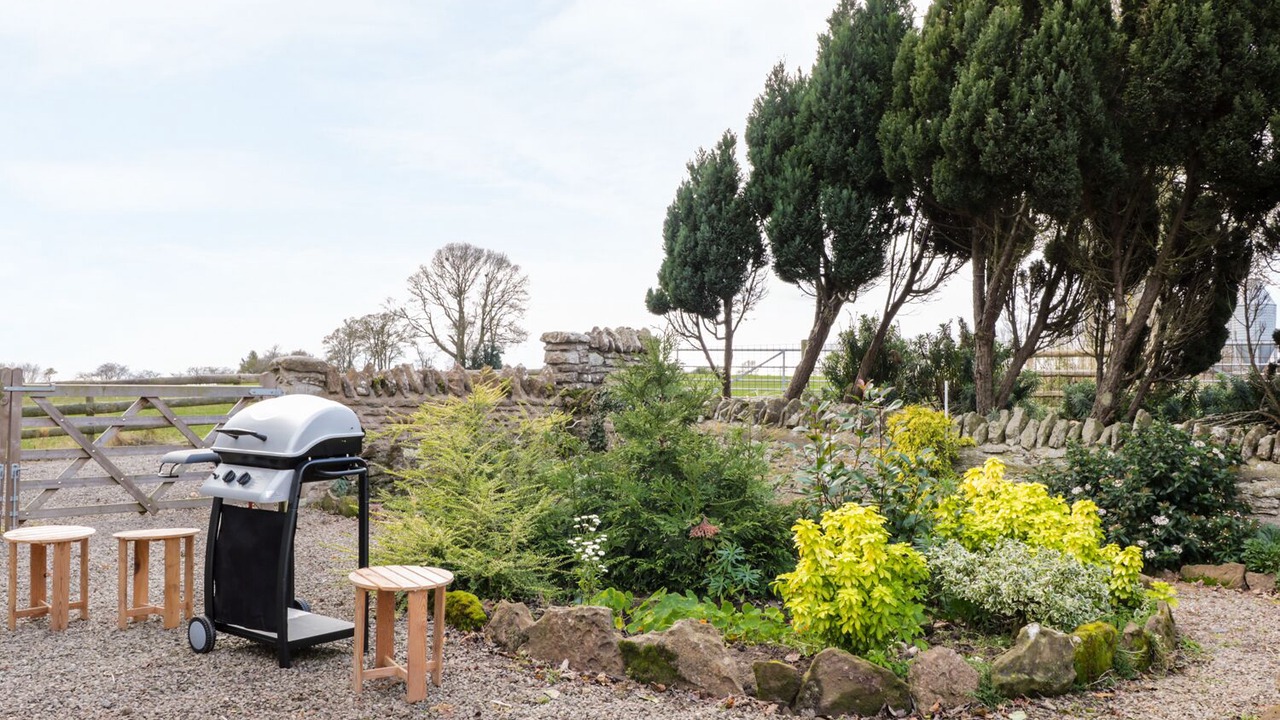 Photo of Others in Carey